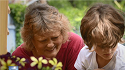 screen-Frauenshuh-Cancer-Center-250x140